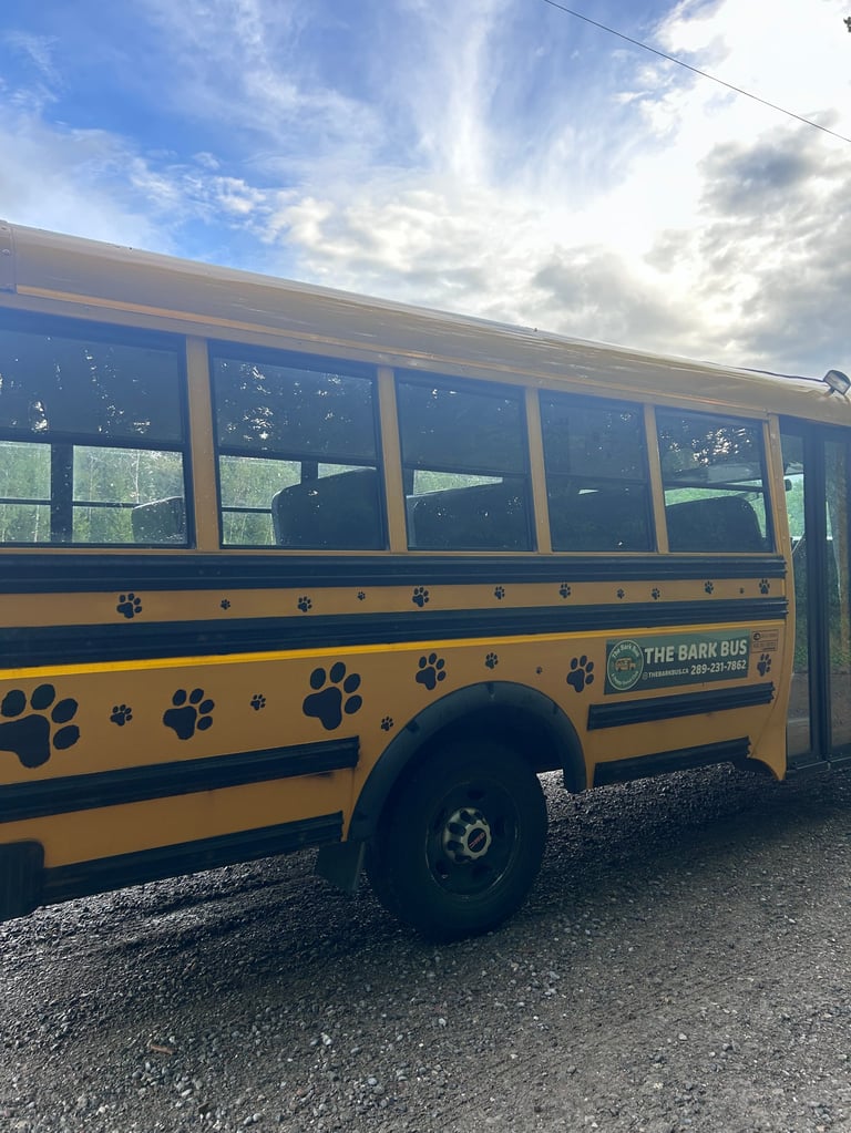 Yellow and blue bus with paw print designs parked on gravel, labeled The Bark Bus
